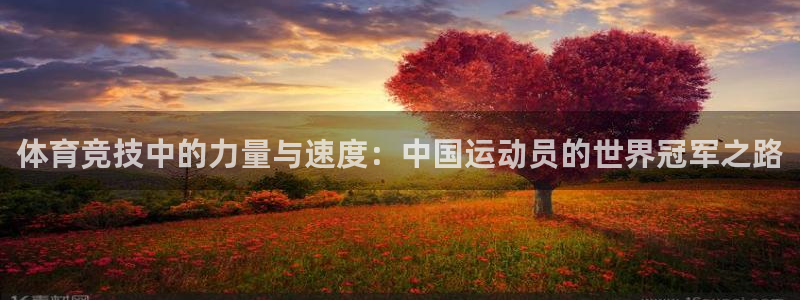 球客岛：体育竞技中的力量与速度：中国运动员的世界冠军之路