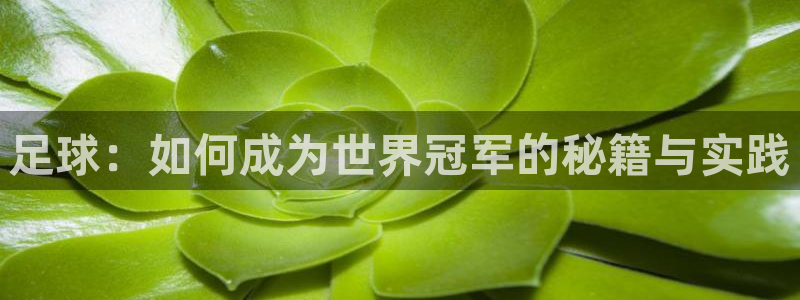 球客岛：足球：如何成为世界冠军的秘籍与实践