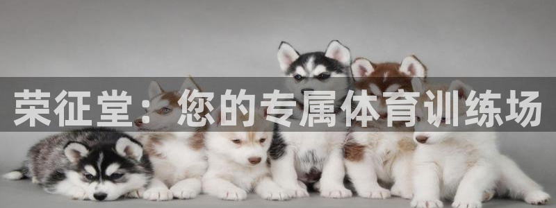 球客岛：荣征堂：您的专属体育训练场