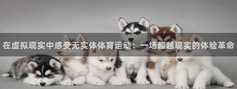 球客岛：在虚拟现实中感受无实体体育运动：一场超越现实的体验革命