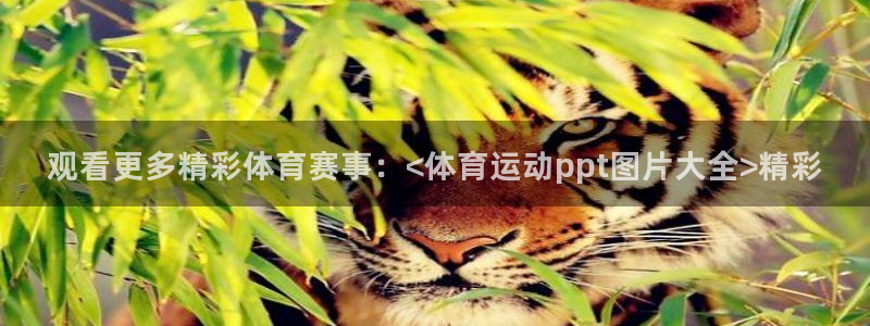 球客岛：观看更多精彩体育赛事：<体育运动ppt图片大全>精彩