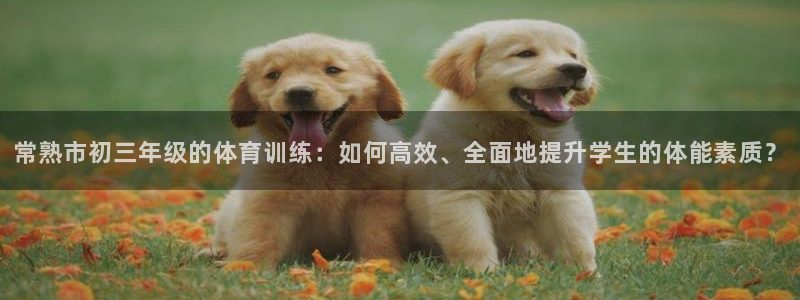 球客岛：常熟市初三年级的体育训练：如何高效、全面地提升学生的体能素质？