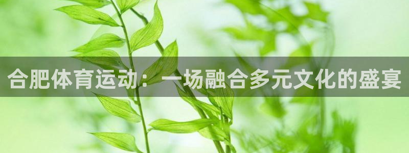 球客岛：合肥体育运动：一场融合多元文化的盛宴