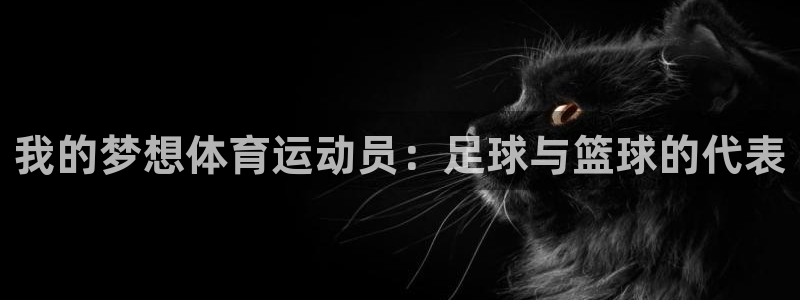 球客岛