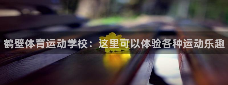 球客岛