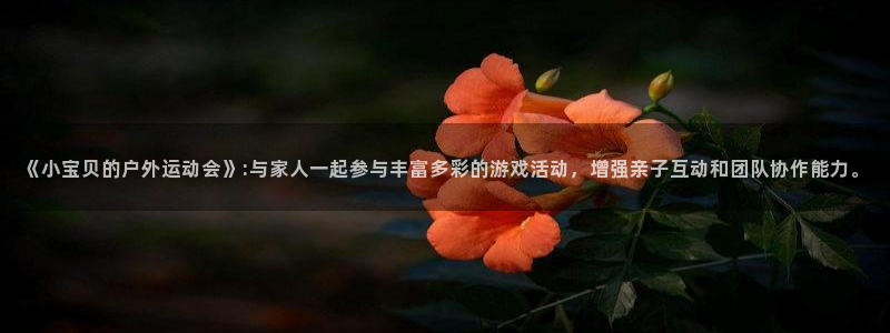 球客岛：《小宝贝的户外运动会》:与家人一起参与丰富多彩的游戏活动，增强亲子互动和团队协作能力。